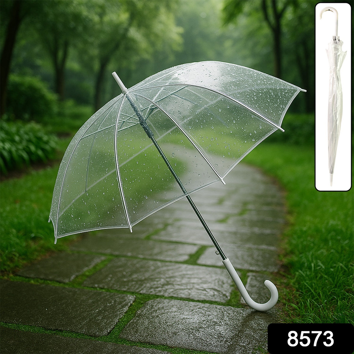 Premium Transparent Dome Umbrella With Curved Handle (1 Pc)