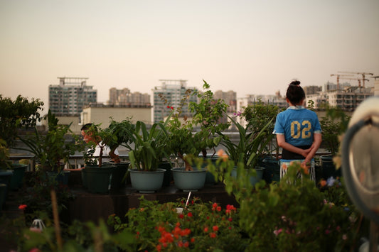 woman looking at plants