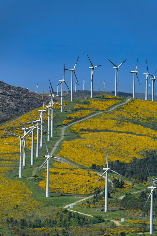 Wind turbines generate clean energy on a beautiful landscape.