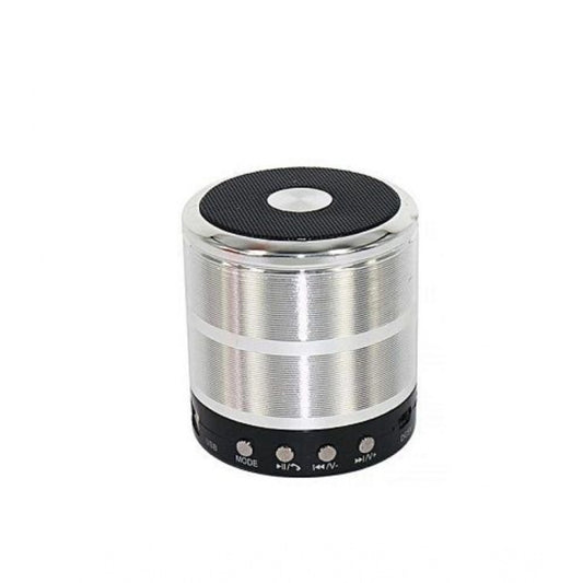 Wireless WS887 Mini Bluetooth Speaker (Silver)