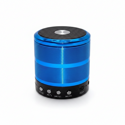 Wireless WS887 Bluetooth Speaker