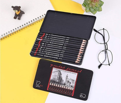 Generic  12 pcs Art Pencil Kit Set (Black)
