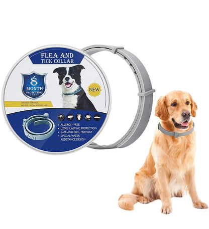 Generic Silicone Dog Flea Collar (Grey)