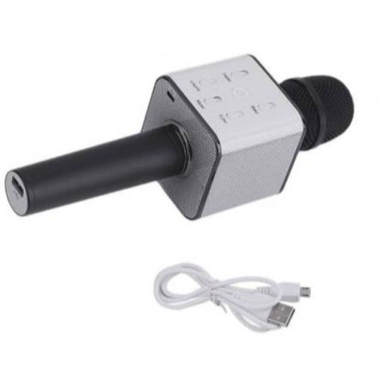 Q7 MIC