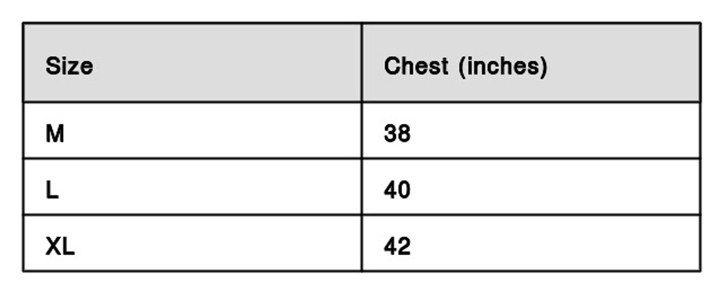 Men Grey Cotton Half Sleeves Printed V Neck Tees