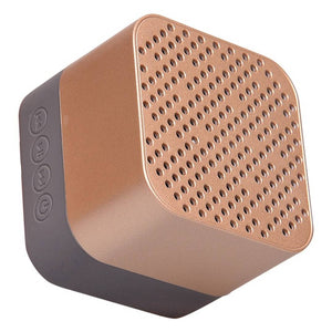 DeMetter Aquabeats : Waterproof Bluetooth Speaker