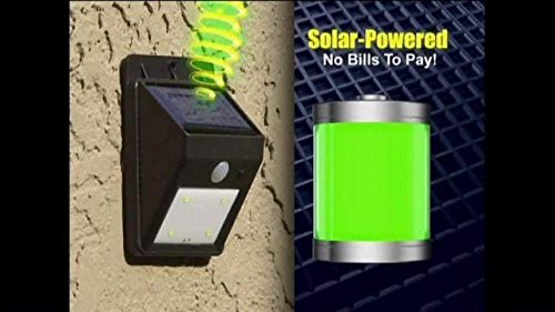 Leeonzi Natural Solar Outdoor LED Lights (Black)