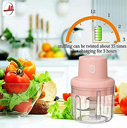 Electric Mini Garlic Chopper, Blender Mincer, Portable Cordless with USB Charging